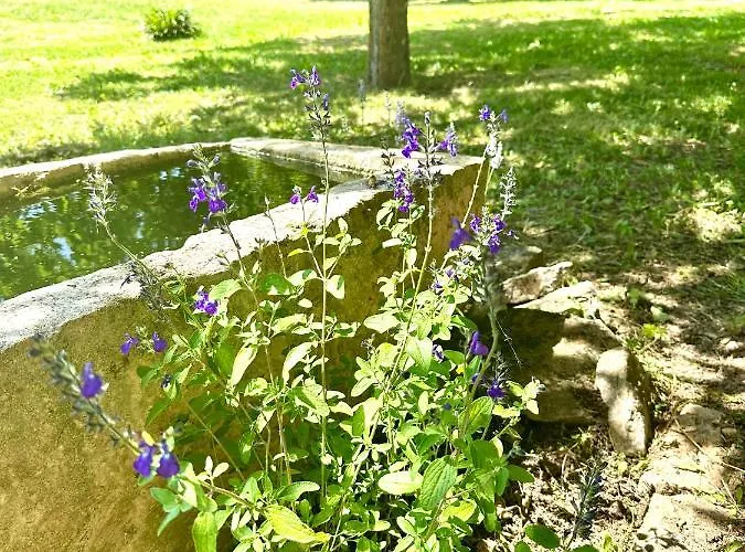 Feriehus Maison Fermontes Cazillac